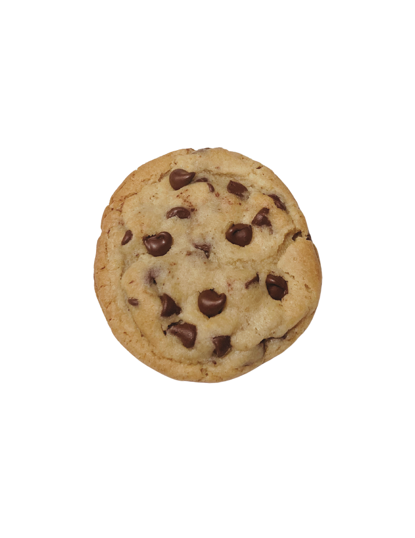 Chocolate Chip Cookie